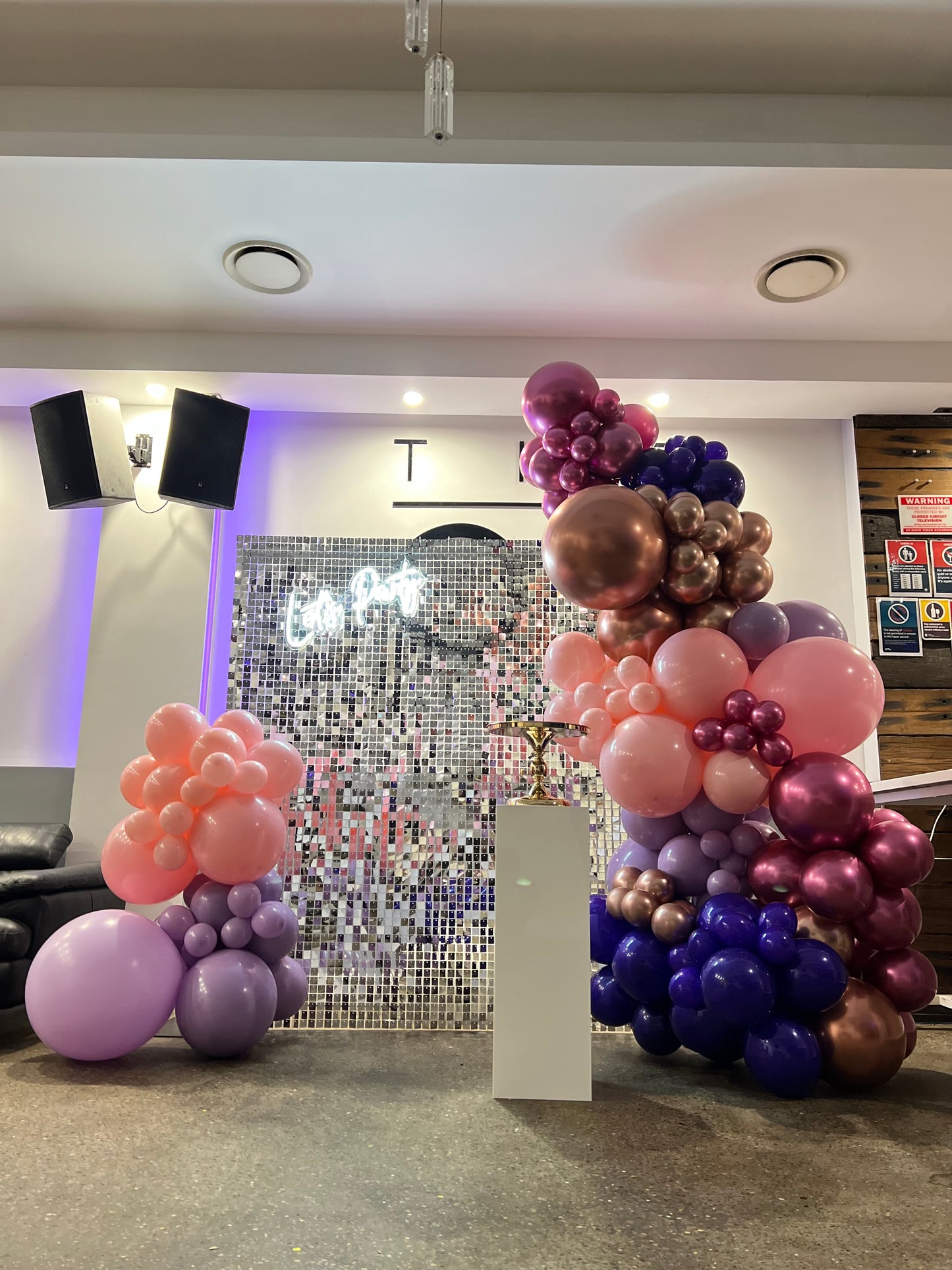 Silver Shimmer Wall Birthday Party