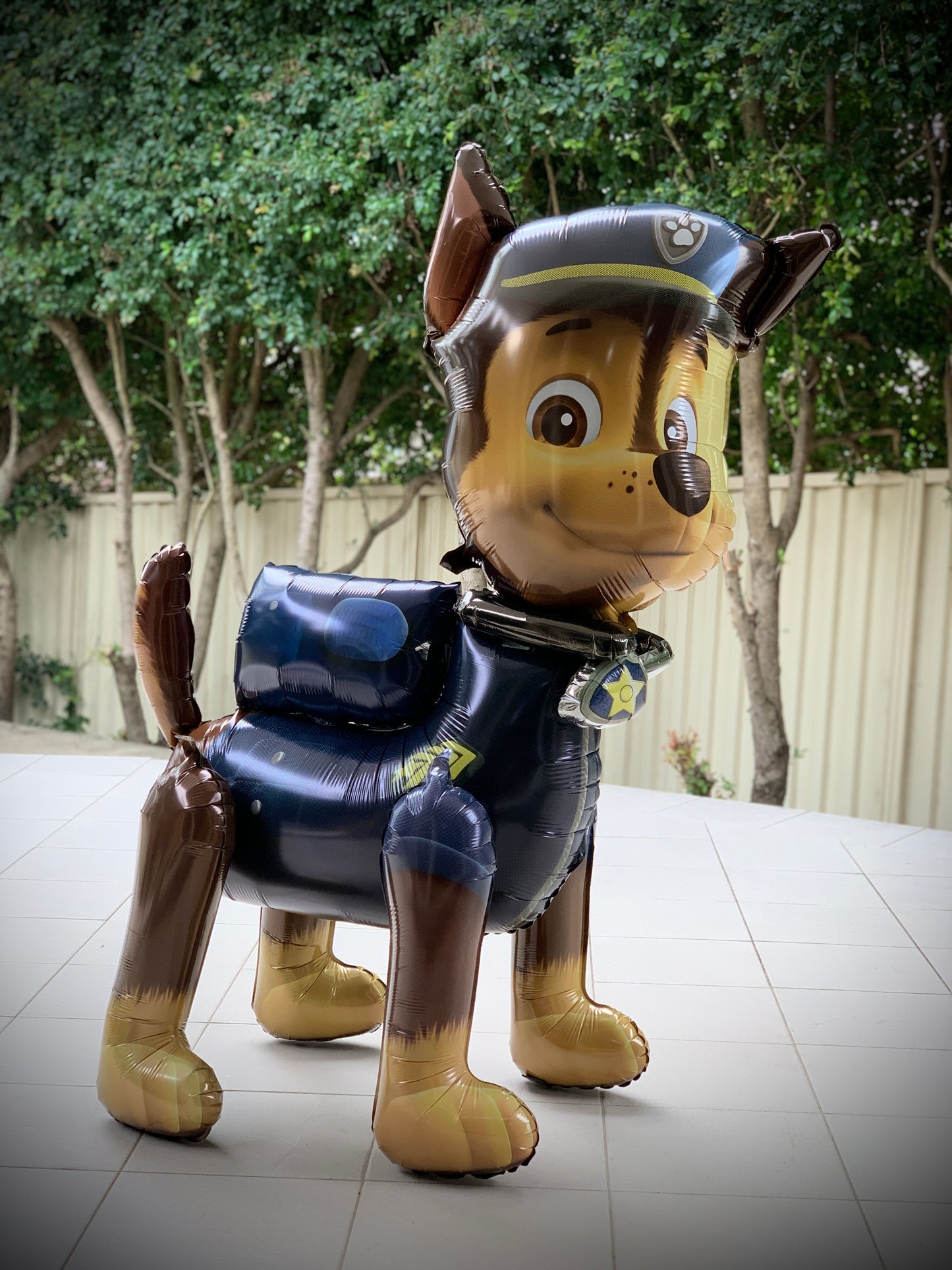 Paw Patrol Airwalker