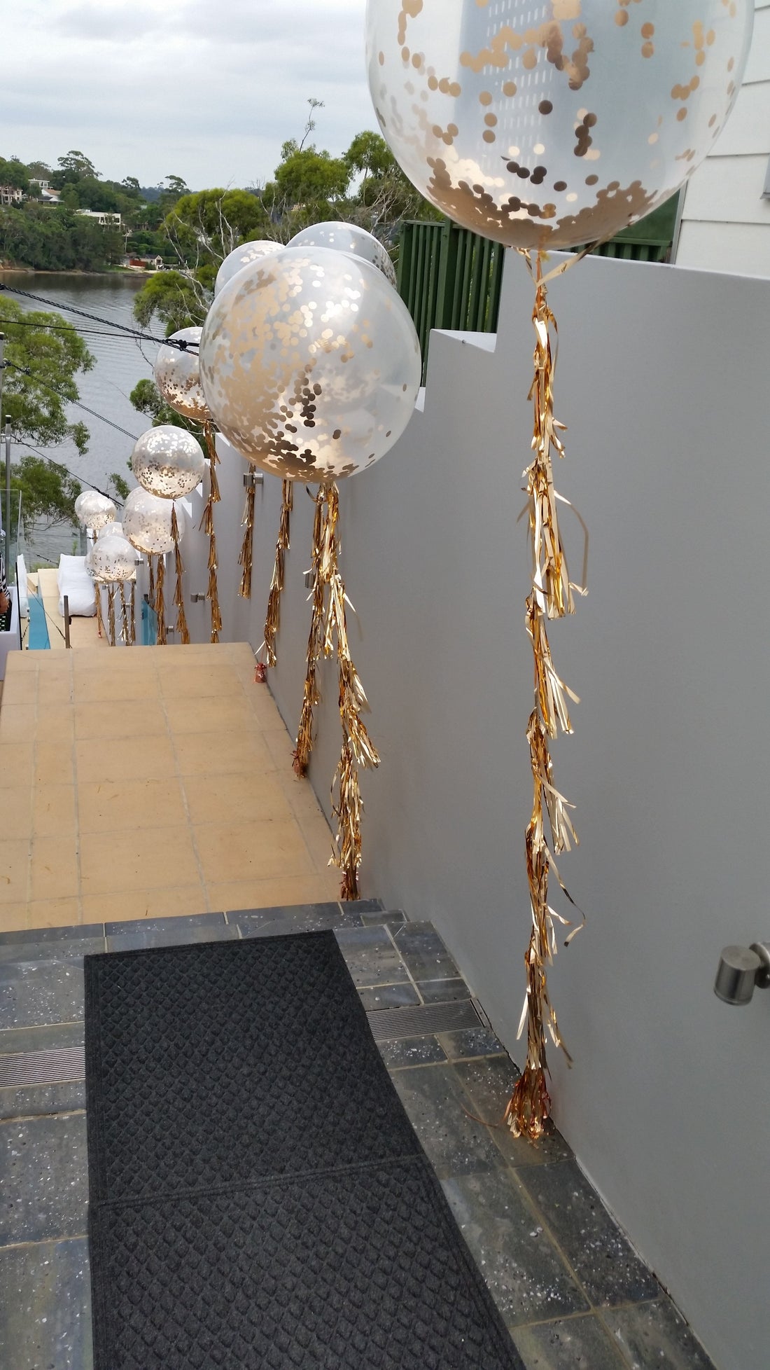 Engagement Party @ Kangaroo Point