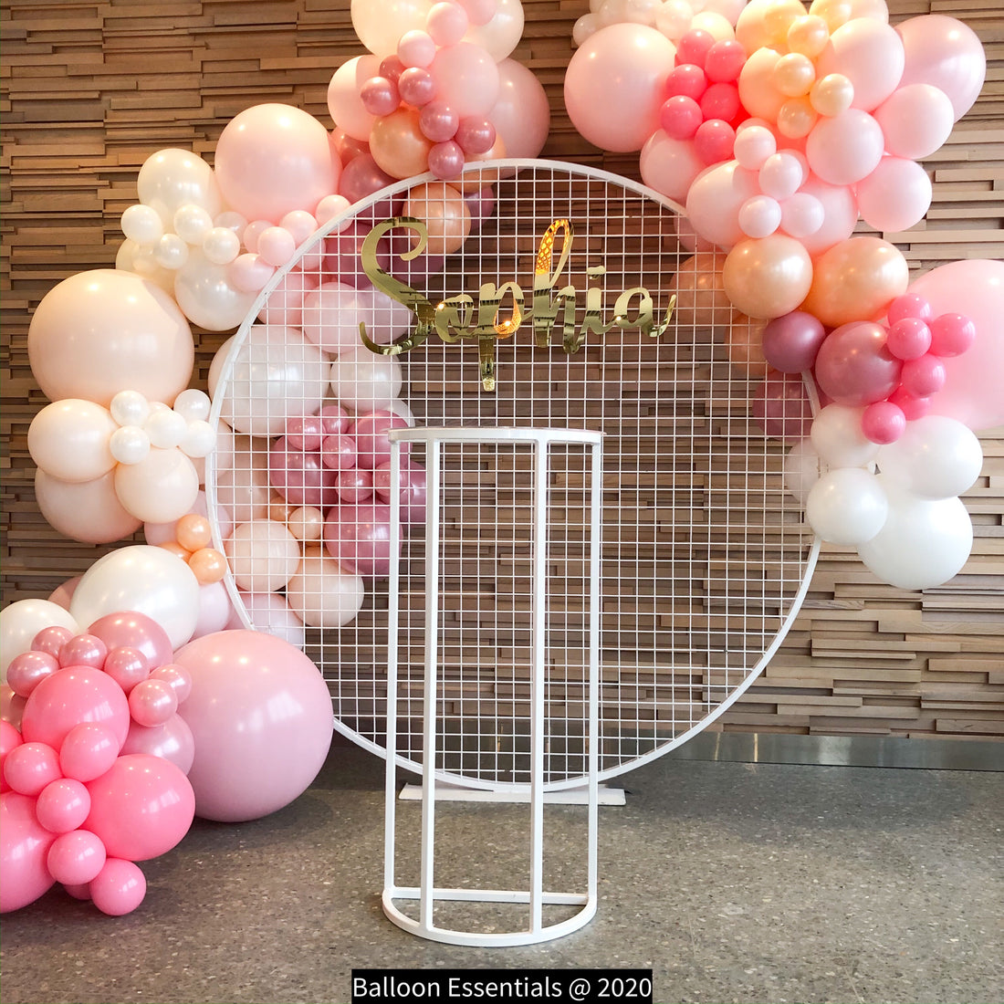 1st Birthday Party Organic Arch