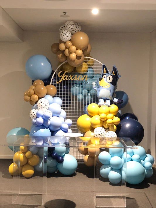 Jaxson 1st Birthday - Bluey Themes