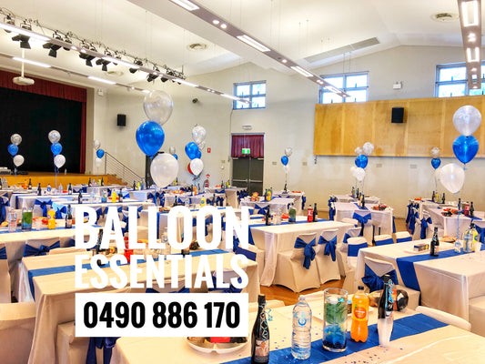 Balloon Essentials Delivery Balloon