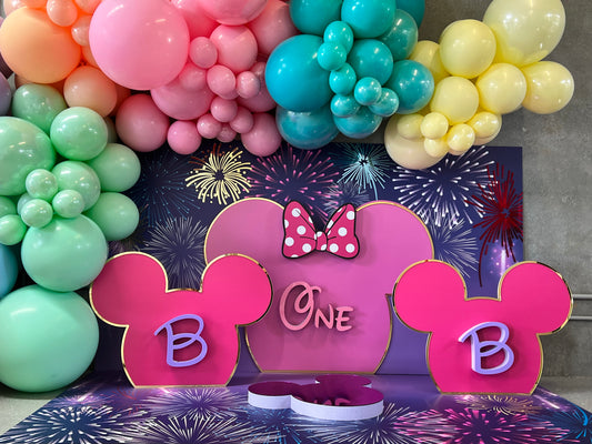 Bhoomi 1st Birthday Disney Theme