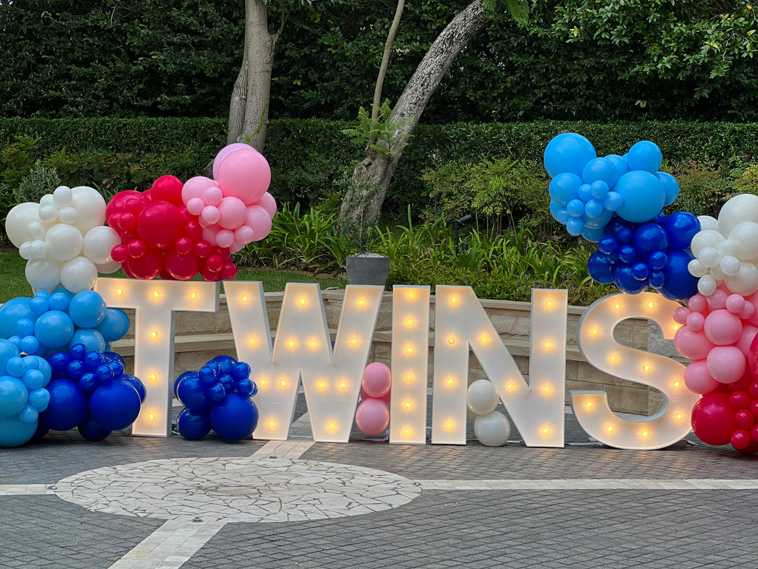 We’re Having Twins