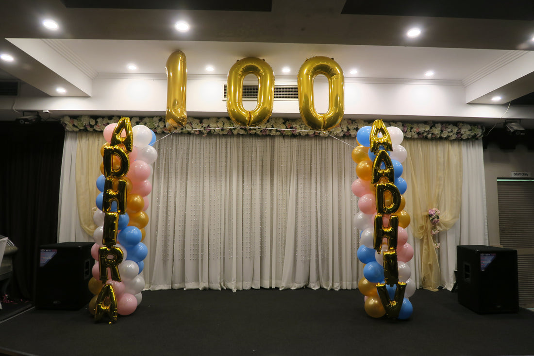 100th Days Twin Boy & Girl Celebration