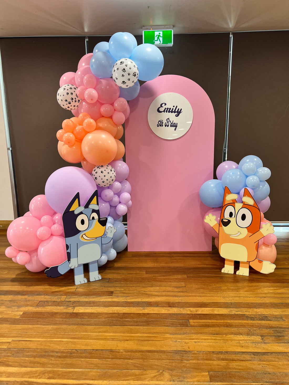 Bluey & Tango Theme Party