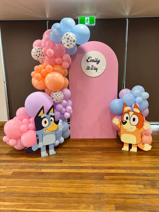 Bluey & Tango Theme Party