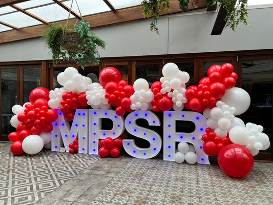 MPSR Party Balloon Garland