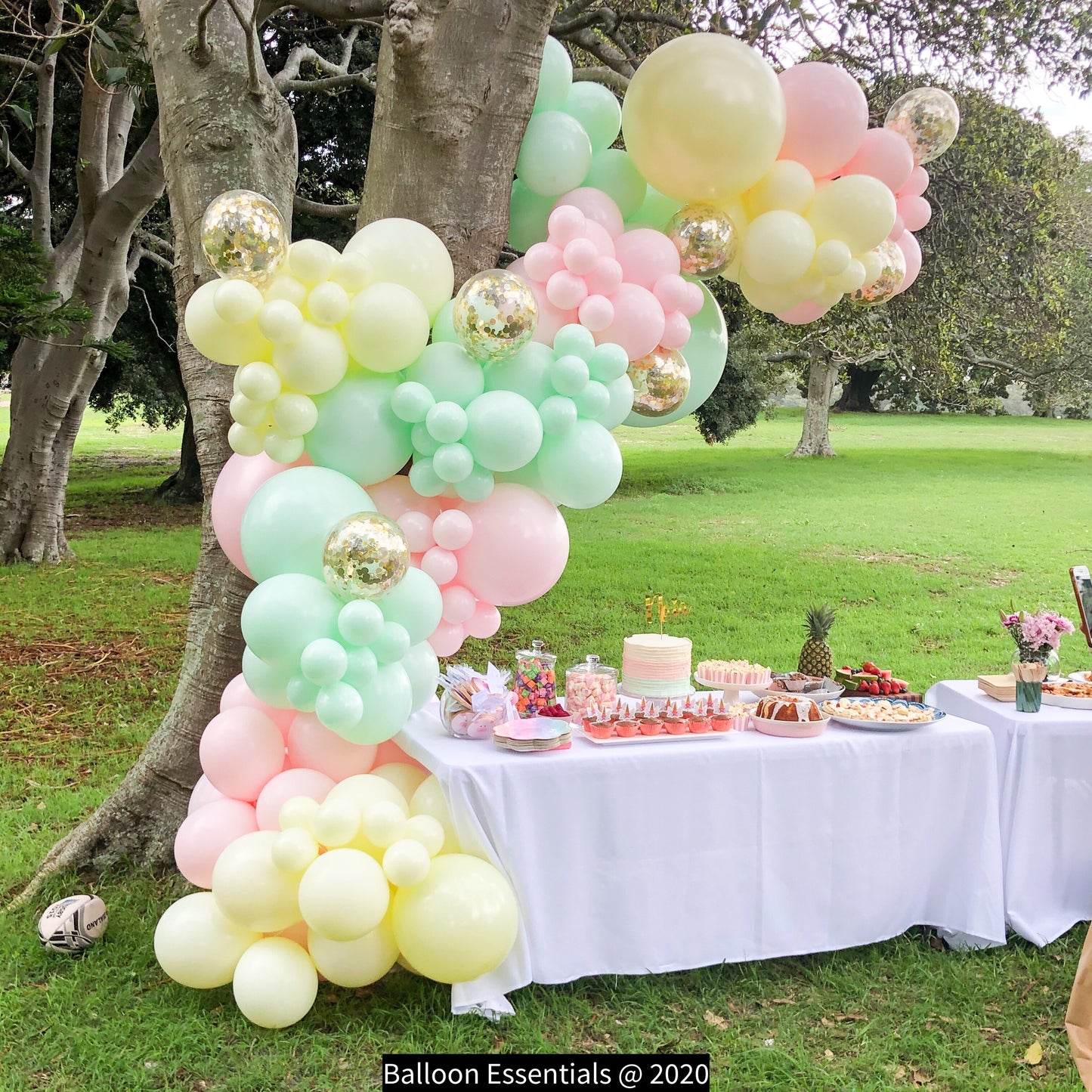 Naia's 1st Birthday Organic Style Balloon Garland