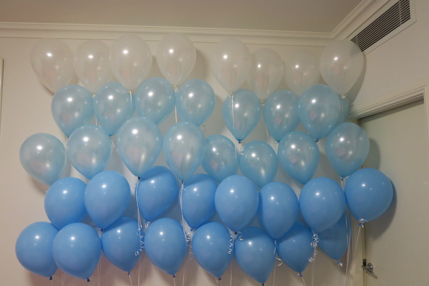Balloon Wall Backdrop