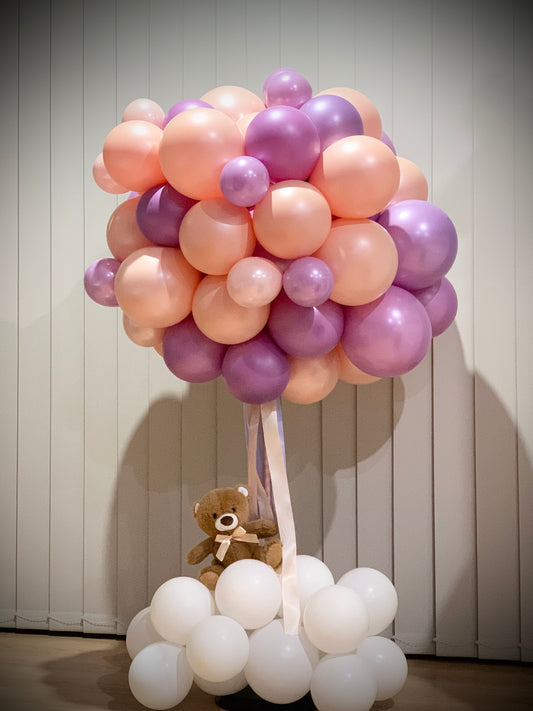 Hot Air Balloon Set Up